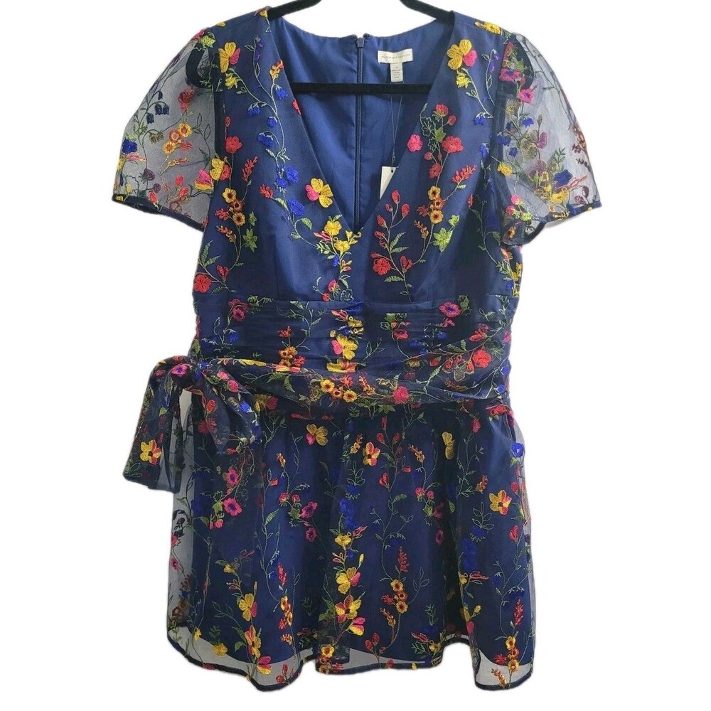 Monique Lhuillier Navy Floral Embroidered Mini Dress NWT